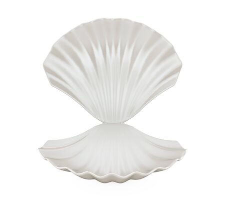 Empty Open Seashell Isolatedの写真素材