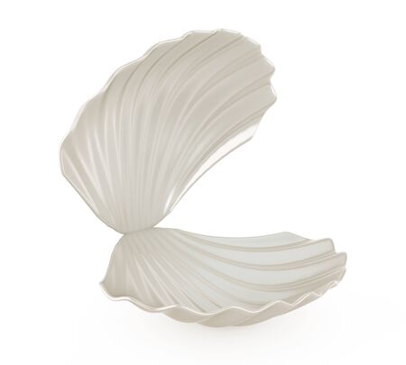 Empty Open Seashell Isolatedの写真素材