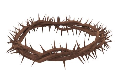 Crown of Thorns Isolatedの写真素材