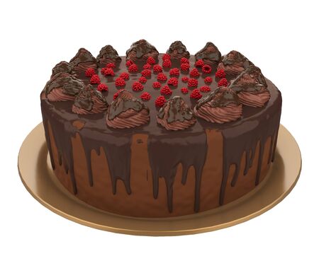 Chocolate Cake Isolatedの写真素材