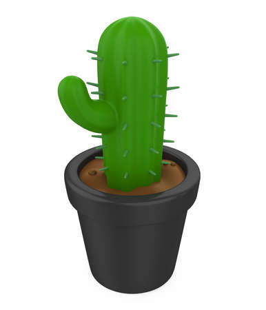 Mini Cactus Plants Isolatedの写真素材