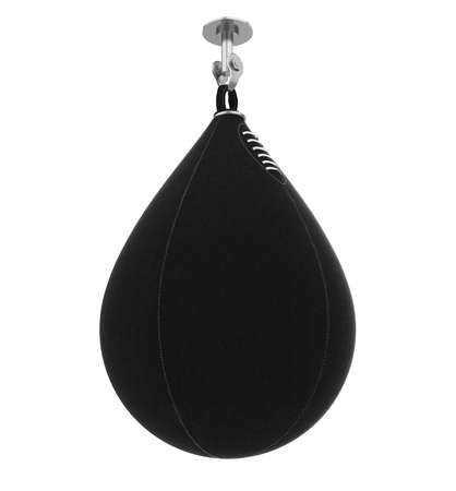 Boxing Speed Ball Isolatedの写真素材