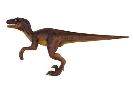 Velociraptor Dinosaurs Isolatedの写真素材