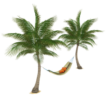 Hammock and Palm Tree Isolatedの写真素材