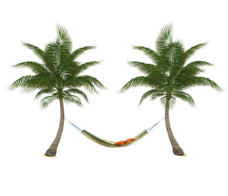 Hammock and Palm Tree Isolatedの写真素材