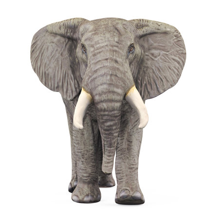 Elephant Isolatedの写真素材