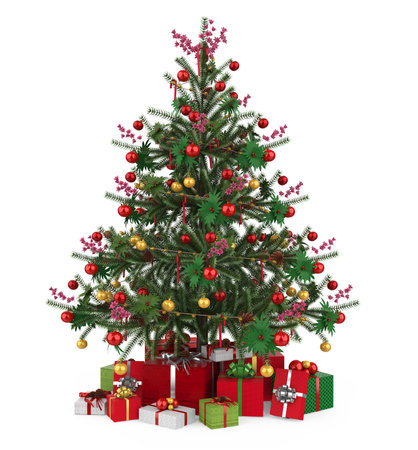 Christmas Tree Isolatedの写真素材