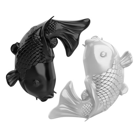 Yin Yang Koi Fish Isolatedの写真素材