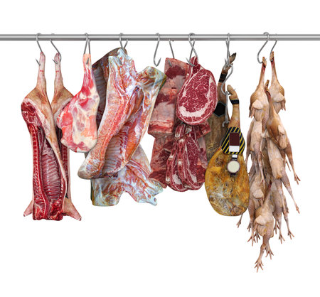 Raw Meat Hanging Isolatedの写真素材