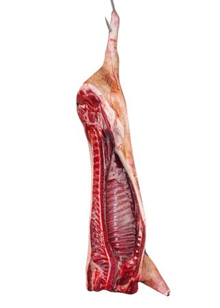 Raw Meat Hanging Isolatedの写真素材