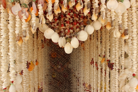 Mobile shell handmadeの写真素材