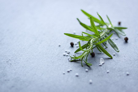 Rosemary with salt and pepper on dark backgroundの写真素材