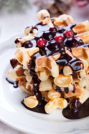 Waffles with chocolate sauce and winter berries for christmas. Closeupの写真素材