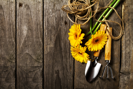Gardening tools, flowers, rope, brushes and gardening gloves on vintage wooden table. Spring, summer or garden concept background with free text space.の写真素材