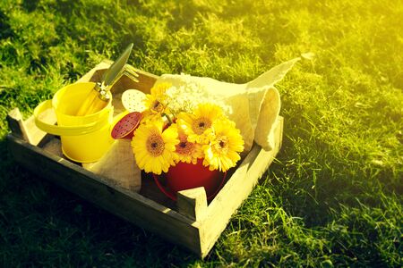 Spring or Summer Concept. Bouquet Flowers with Gardening Tools on Grass with Beautiful Sunny Light. Daylight. Horizontal with Copy Space.の写真素材
