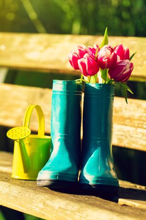 Spring or Summer Concept. Rubber Boots with Gardening Tools on Grass with Beautiful Sunny Light. Daylight.の写真素材