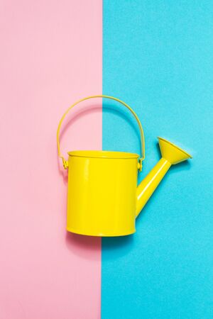 Colorful Watering Can on Colored Background. Flat Lay. Minimalistic Concept. Spring or Summer Concept. の写真素材