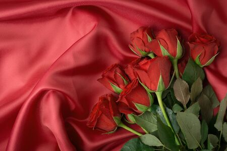 Top view of red colored blooming roses on textile background.の写真素材