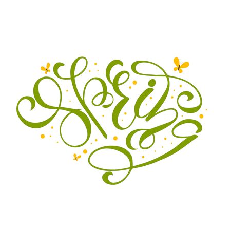 Printed green word Spring with ornamental decor on white background.のイラスト素材