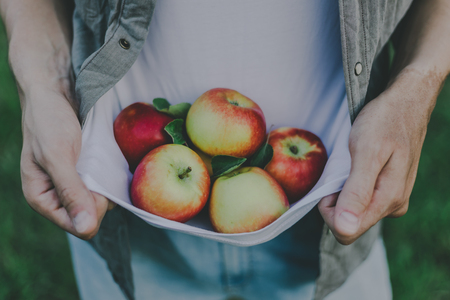 Autumn young man picking apples in garden and showing the harvest. Closeup. Horizontalの写真素材