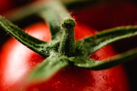 Closeup macro tasty appetizing fresh tomato with water drops.の写真素材