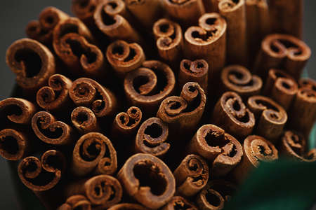 Bunch of cinnamon sticks tied with ribbon on dark background. Closeup