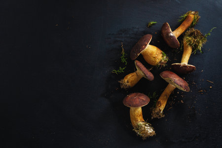 Wild mushrooms from forest ready for cooking on dark background. View from above.の写真素材