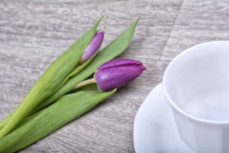 White cup and purple tulip on the wooden backgroundの写真素材