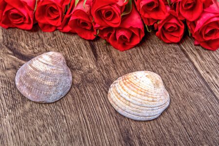 Two shells and red roses on wooden backgroundの写真素材