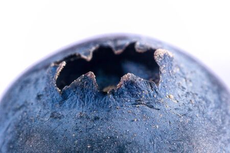 Detail of blueberry isolated on a white backgroundの写真素材