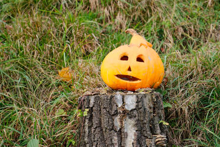 Halloween pumpkin sitting on a stump in the grassの写真素材