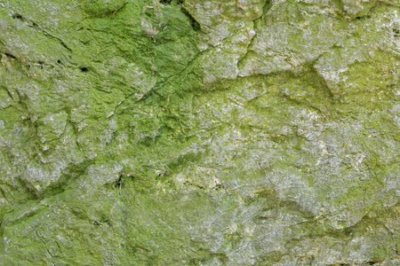 Details of sandstone texture background. Beautiful sandstone textureの写真素材