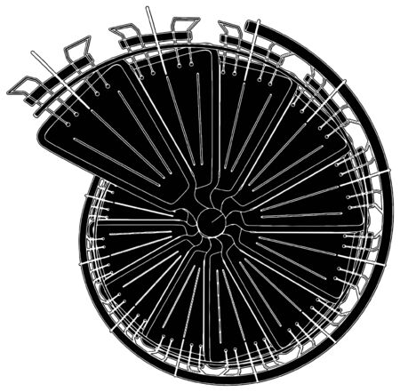 Spiral Staircaseのイラスト素材