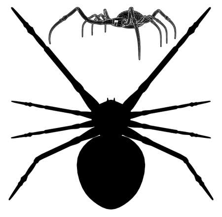 Spiderのイラスト素材