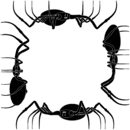 Spiderのイラスト素材