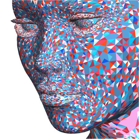 Colorful Beutiful Face Made Of Small Triangles Vector