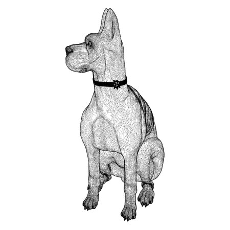 Doberman Dog Vector. Illustration Isolated On White Background. A Vector Illustration Of The Doberman Pinscher Dog.のイラスト素材