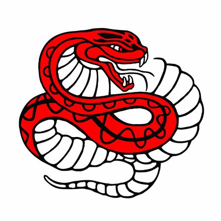 Snake vector character illustration isolated on white.のイラスト素材