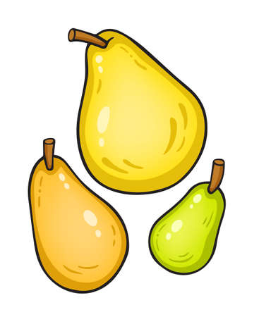 Vector illustration isolated on white. Pears.のイラスト素材