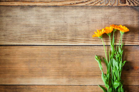 Calendula flowers on wooden background in rustic style. Top view.の写真素材