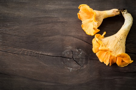 Fresh chanterelle mushrooms on rustic wooden background. Top view.の写真素材