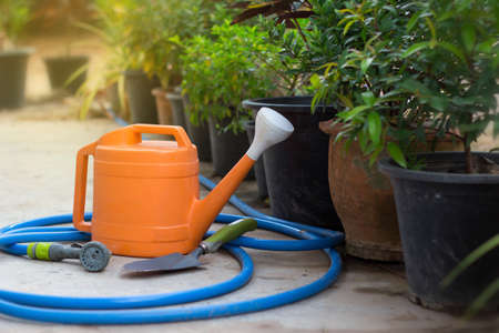 Watering and trovel for plant or tree at garden, nature care equipment