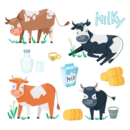 Set of cute happy cartoon cows with glass of milk, cup and haystacks. Farm animals in different poses with dairy products and grass. Vector illustration. Flat styleのイラスト素材