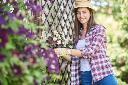Gorgeous Caucasian brunette dressed in work wear and with hat and gloves decorating her backyard with white begonia.の写真素材