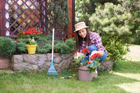 GOrgeous Caucasian brunette dressed in work wear and with hat and gloves planting pelargonium in her backyard.の写真素材