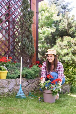 GOrgeous Caucasian brunette dressed in work wear and with hat and gloves planting pelargonium in her backyard.の写真素材