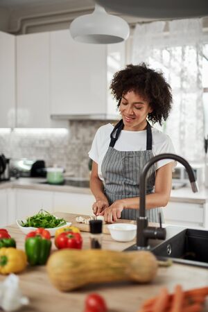 Gorgeous mixed race housewife in apron standing in kitchen and chopping mushrooms. On kitchen counter are all sorts of vegetables.の写真素材