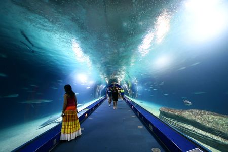 Oceanografic - Ciudad de las Artes y las Ciencias ( Valencia - Spain )