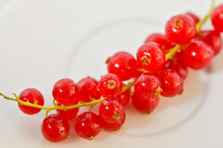 Red currant is on the plate branch