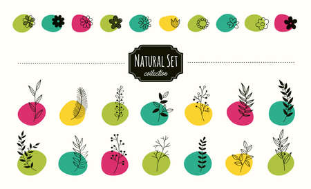 Hand drawn vector floral elements. Branches and leaves colors. Herbs and plants collection. Vintage botanical illustrations.のイラスト素材